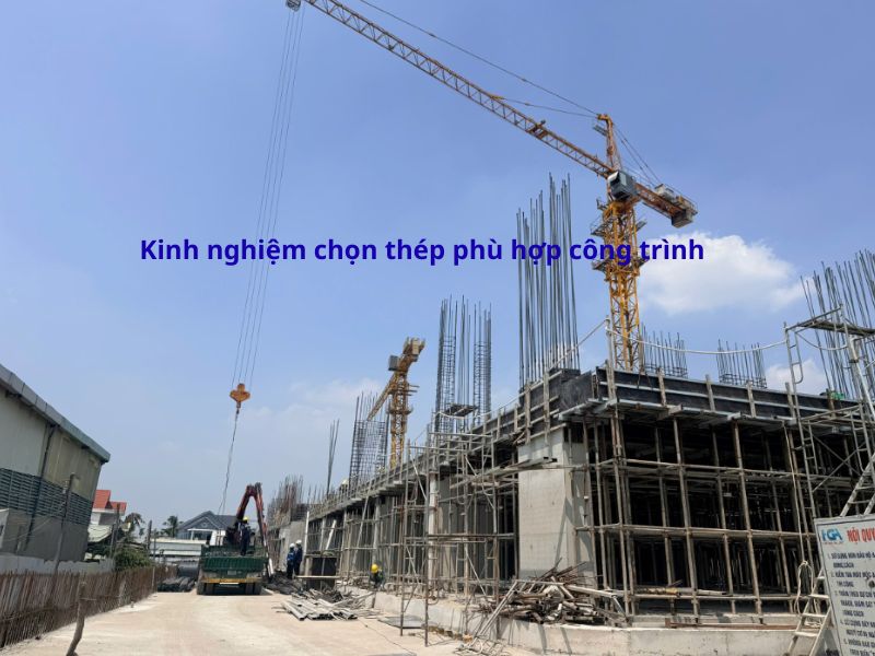 Báo Giá Thép Hòa Phát D10 D12 D14 D16 D18 3 dự án thép nhạt long cung ứng